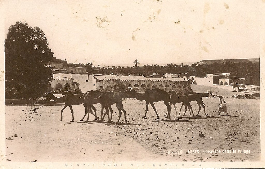 beni abbes  (7).jpg